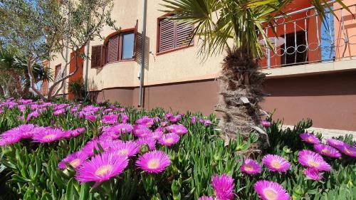 Apartmani Tribunj Biserka