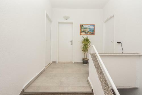 Apartmani T&m
