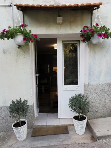 Apartment With Garden