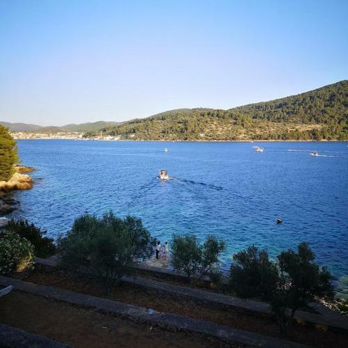 Holiday Home Dalmatia Sokoli?