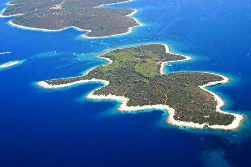 Holiday Home Dalmatia Sokoli?