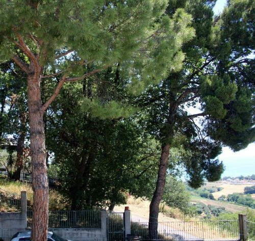 Apartamento Maison Giuli�