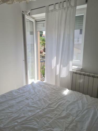 Apartman Punta