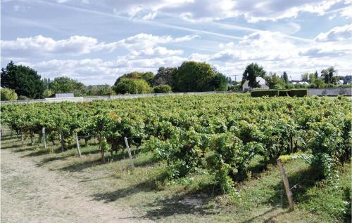 Holiday Home Ch�teau Du Rivi�re