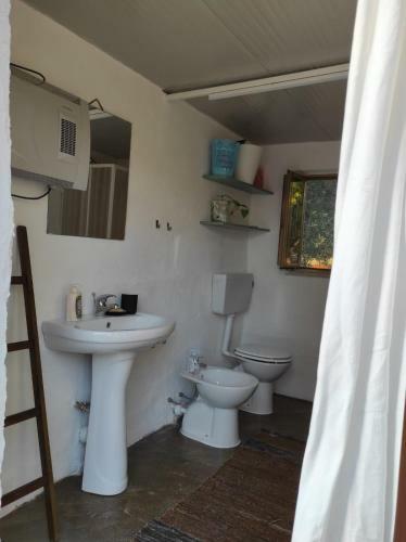 Apartamento Il Trullo Di Colacurto