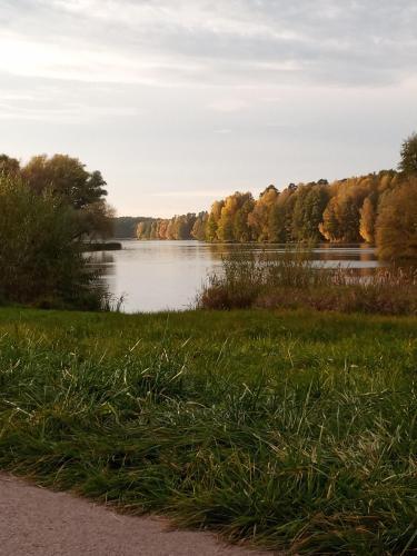 Domek Nad Zalewem