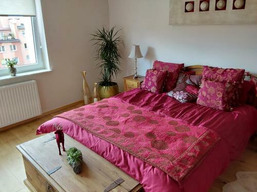 Apartamento El-jar 3