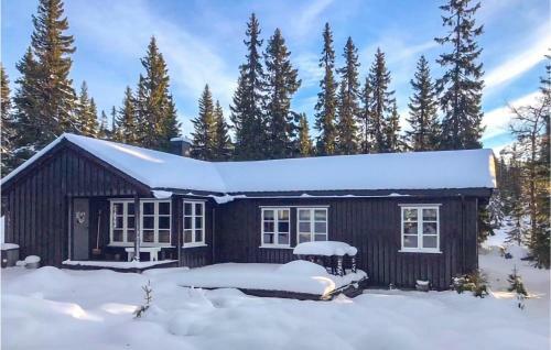 Beautiful Home In Sjusj�en With 4 Bedrooms
