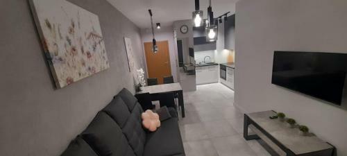 Apartament Helsinki Jastrz?bia G�ra
