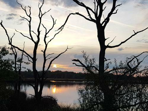 Chalet Drenthe Spier Op Camping De Moraine
