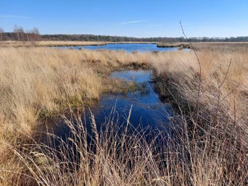 Chalet Drenthe Spier Op Camping De Moraine