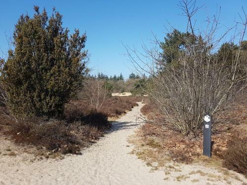 Chalet Drenthe Spier Op Camping De Moraine