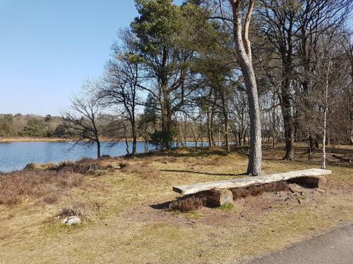Chalet Drenthe Spier Op Camping De Moraine