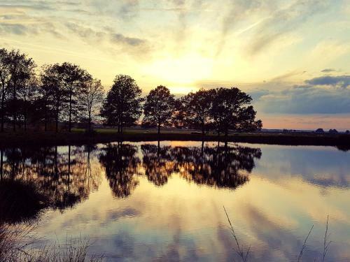Chalet Drenthe Spier Op Camping De Moraine