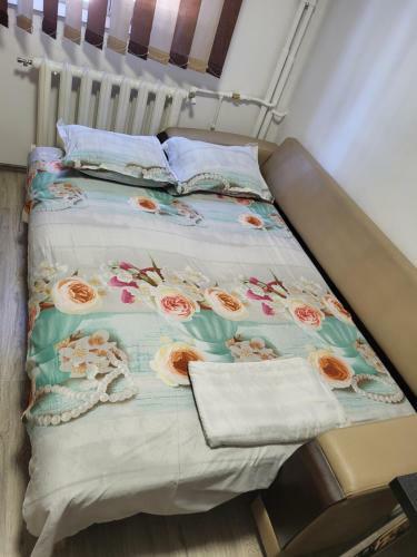 Apartament Oana