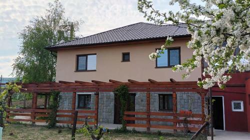 Agropensiunea-alexandra