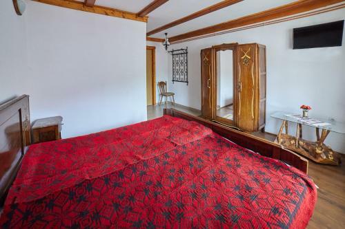 Hostal Pensiunea Col? Alb