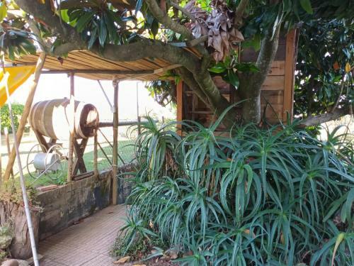 Hostal Casita Da Floresta