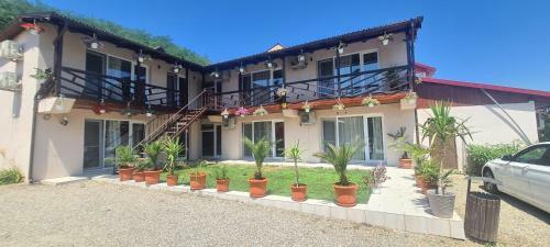 Hostal Casa Belvedere Orsova