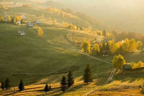 Blidarei - Transilvanian Haven