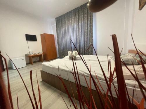 Hostal Sel Residence