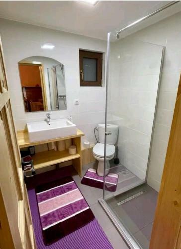 Tiny House Casa Axa