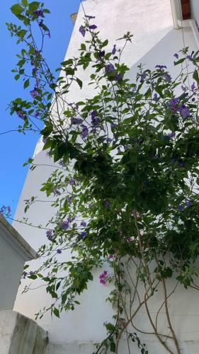 Casa Azul Da Figueira Da Foz