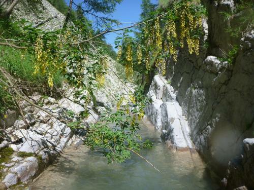 Hostal G�te Belle Valette