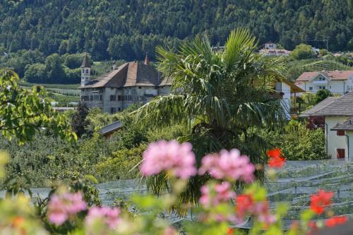 Hostal Felsenegg