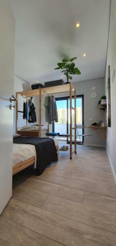 Campus - Faro Apartments By Hd Properties