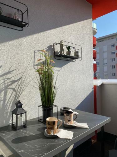 Jungle Apartment