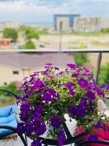 Apartament Mamaia Clasic
