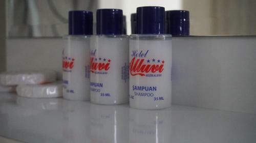 Alluv? Hotel