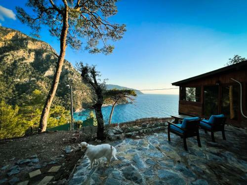 Hotel Kabak �topya Suites