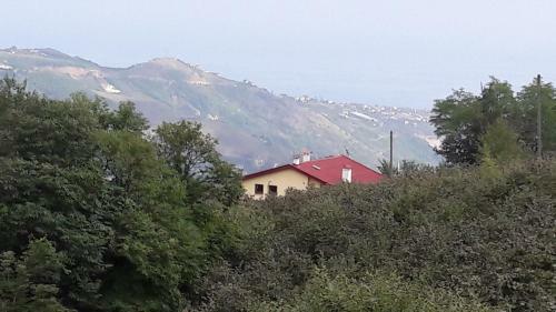 3 Yatak Odal? Dublex Villa