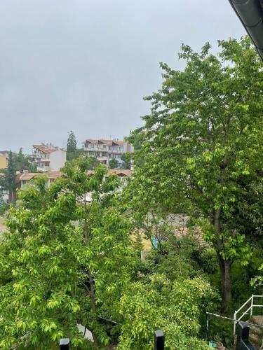 Villa Magnolia