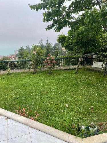 Villa Magnolia