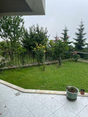 Villa Magnolia