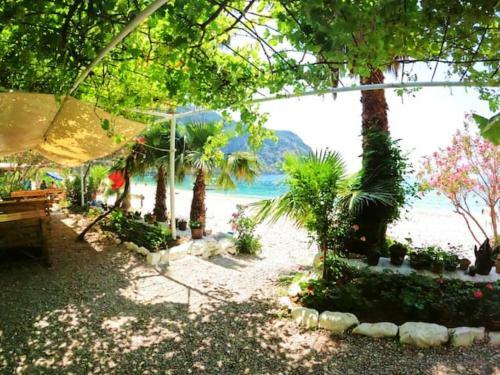 Butterfly Valley Glamping And Food