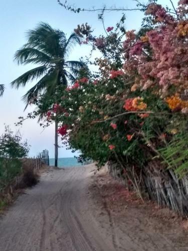 Casa Mandacaru, A 200m Da Praia, Icara�zinho