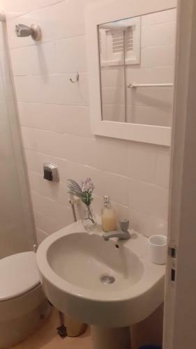 Apartamento Tipo Estudio Com Cozinha Completa E Wifi