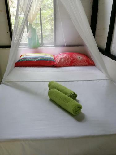 Eco Hostal Los Cocos