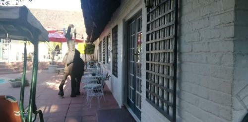 Hostal House Of Perez