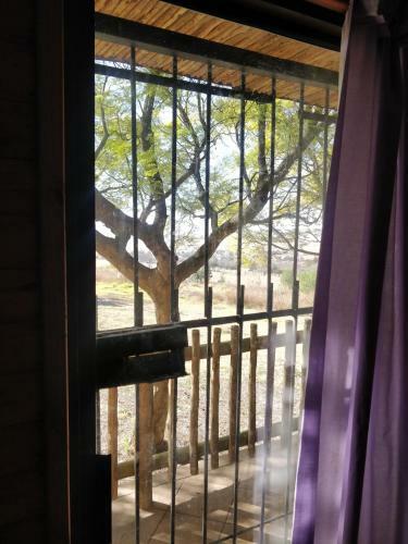 Apartamento Bungalow Glamping @ Salbu