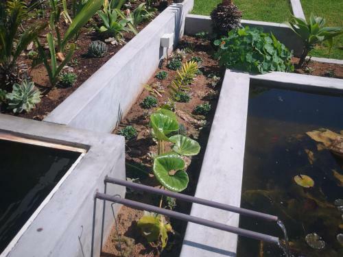 Apartamento Orca House