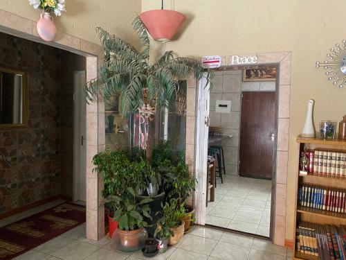 Hostal De African Rock Guesthouse