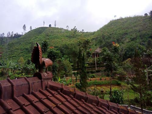 Villa Ayam Jago Ciwidey, Villa Di Ciwidey