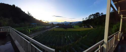 Villa Ayam Jago Ciwidey, Villa Di Ciwidey