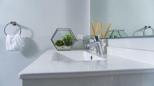 Ellips Waterfall Apartment