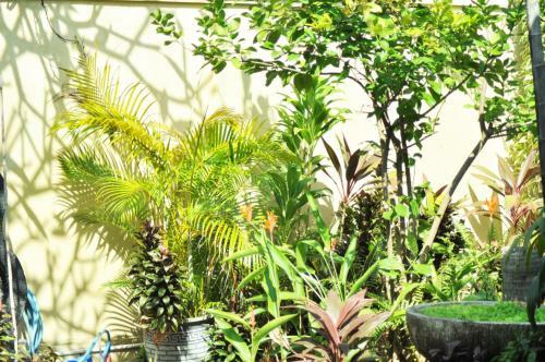 Villa Bumiayu 3 Sanur